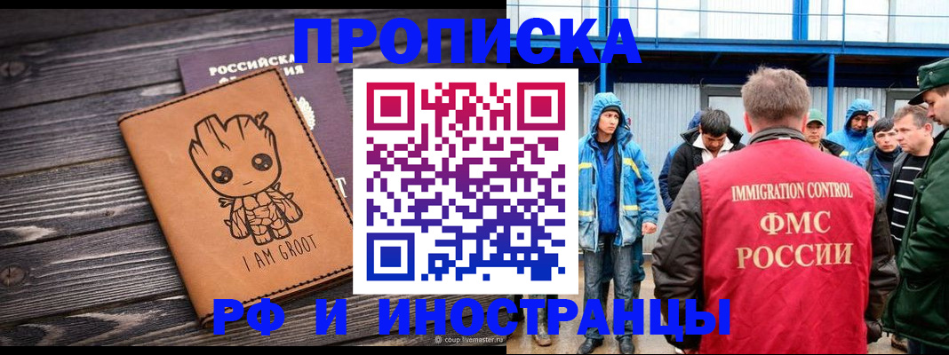 прописка от собственника в Курчалом